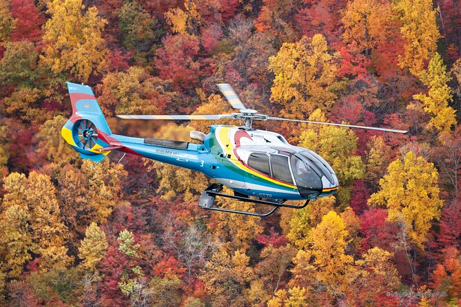Niagara Falls Canada Helicopter Tour - Price, value, and who should pay for the view