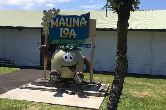 Oahu to Big Island : Big Island Volcano Helicopter Tour & Hilo 1 Day Tour - King Kamehameha Statue and Hilo’s civic center