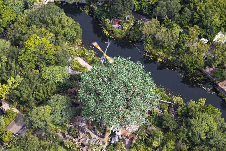 Orlando: Narrated Day Helicopter Flight Over Theme Parks - What the small helicopter setup means for you