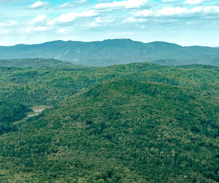 Ottawa: Panoramic helicopter flight (Gatineau Park + downtown) - Gatineau Park, Meech Lake, and the river