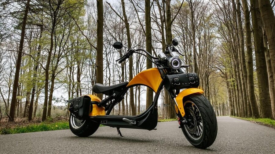 Otterlo: E-chopper rental - Starting in Otterlo with a very different kind of ride