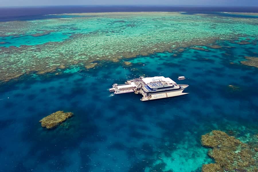 Port Douglas: Outer Barrier Reef Cruise & 10 Min Helicopter - Key points to know before booking