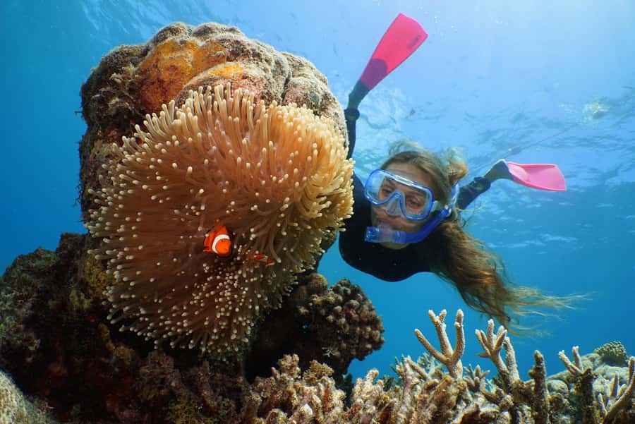 Port Douglas: Outer Barrier Reef Cruise & 10 Min Helicopter - Optional scuba and helmet activities