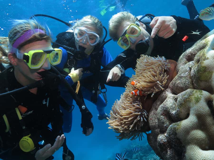 Port Douglas: Outer Barrier Reef Cruise & 10 Min Helicopter - Is $348 good value?