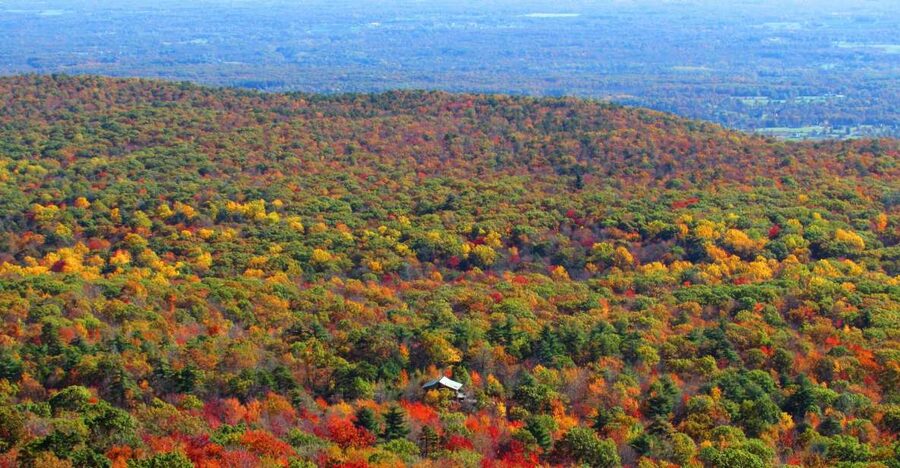 Private Fall Foliage Helicopter Tour of the Hudson Valley - Choosing between the Robinson R44 and Airbus helicopter
