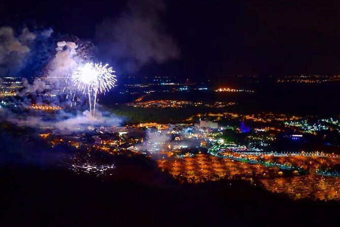 Private Helicopter 77 Miles Fireworks Tour over all Theme Parks - Is $330 per person good value?