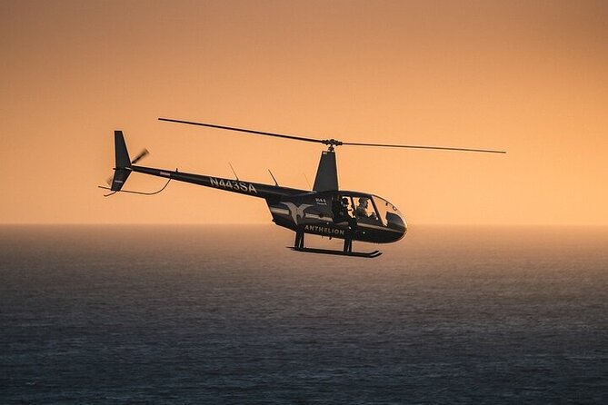 Private Helicopter Tour of Hollywood Sign, Beaches and More - Santa Monica Pier and the UCLA area
