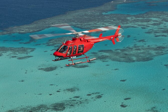 Private Helicopter Tour: Reef Island Snorkeling and Gourmet Picnic Lunch - Who should book this helicopter reef tour?