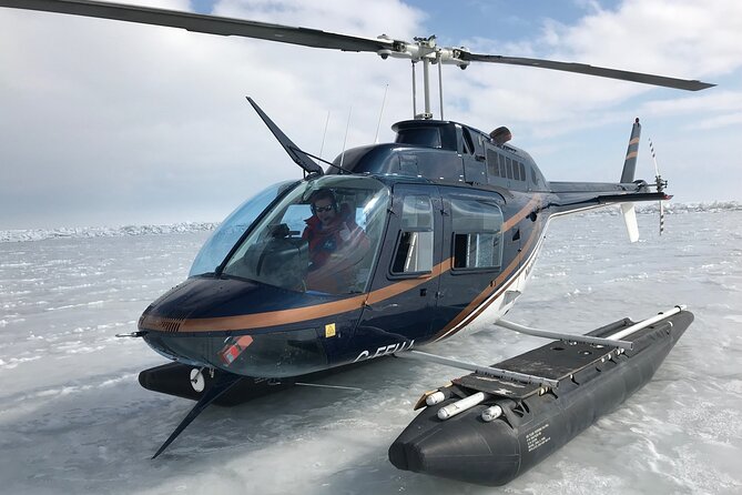 Private Tour: Niagara Falls Helicopter Flight - Seeing Niagara Falls from a private helicopter