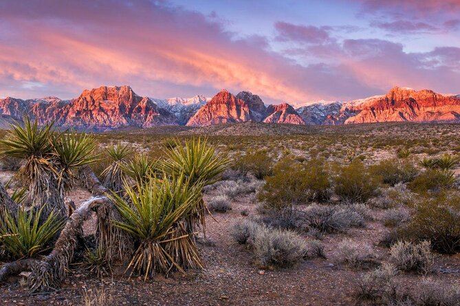 Red Rock Canyon Helicopter Air-Only Tour in Las Vegas - Key points to know before you book