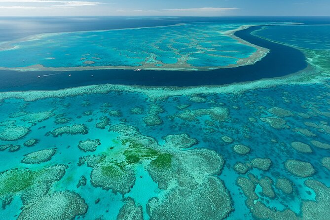 Reef & Whitehaven Spectacular - 60 Minute Helicopter Tour - Heart Reef and Hardy Reef from above
