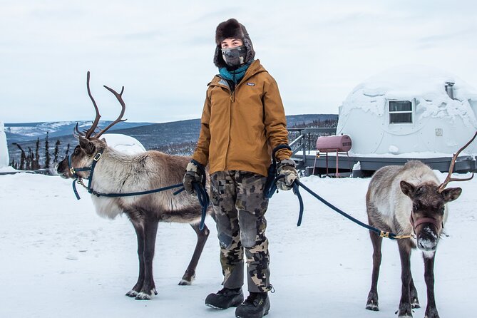 Reindeer and Heli Flightseeing Day Trip with Lunch - Who should book this Fairbanks outing?