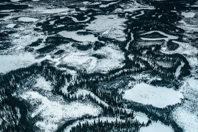 Reindeer and Heli Flightseeing Day Trip with Lunch - Weather, cancellations, and planning details