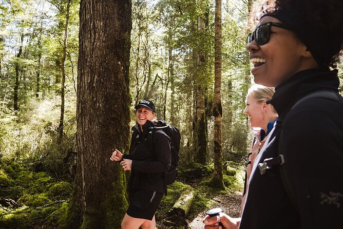 Scenic Helicopter & Kepler Guided Hike from Te Anau with Lunch - Flying over Lake Te Anau and landing in Fiordland