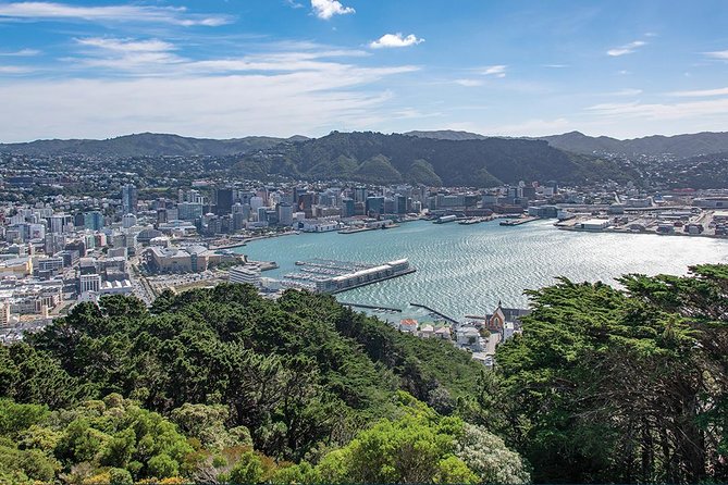 Scenic Wellington Helicopter Flight - Who will enjoy this flight most?