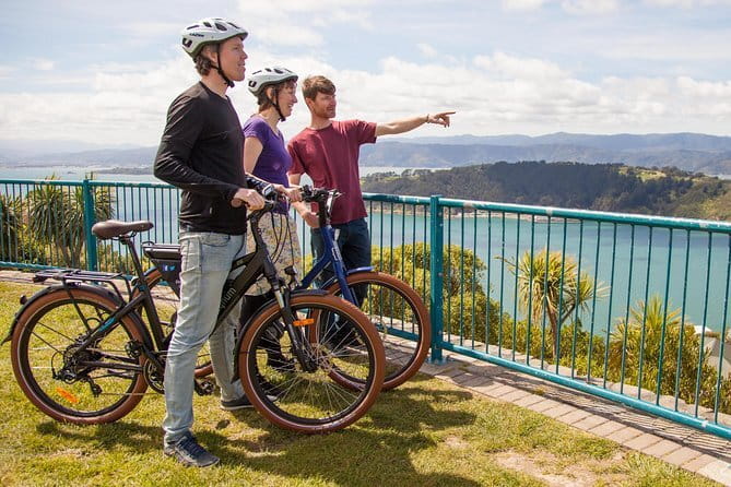 Scenic Wellington Helicopter Flight - Practical details worth knowing