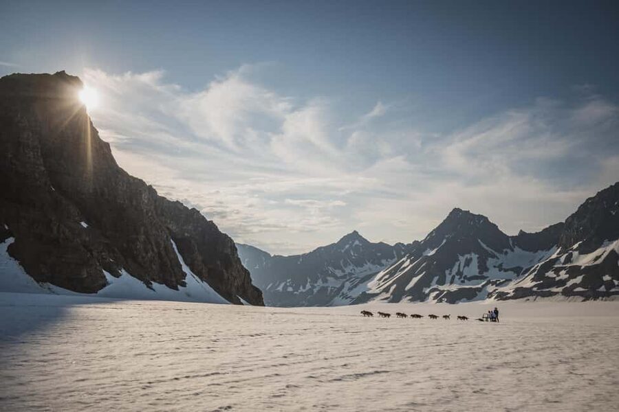 Seward, Alaska: Helicopter Glacier Dog Sledding Adventure - Booking details worth knowing