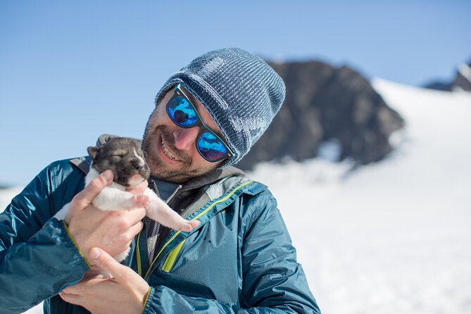 Seward: Helicopter Glacier Dogsled Tour with 2 Landings - Landing on summer snow for the dog camp