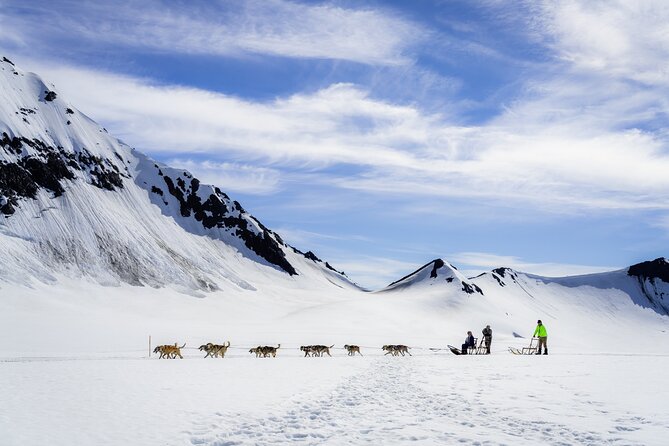 Seward: Helicopter Glacier Dogsled Tour with 2 Landings - The second landing and the flight home