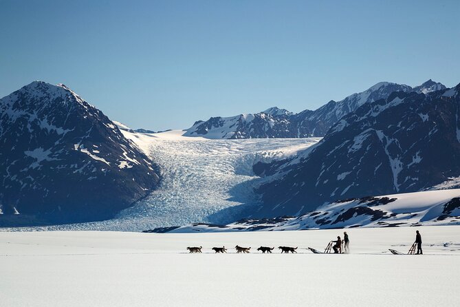 Seward: Helicopter Glacier Dogsled Tour with 2 Landings - The real cost: $870.91 per person