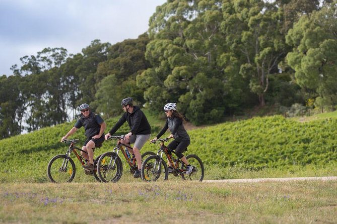 Southern Barossa: 10-Minute Helicopter Flight - A strong choice for photos and celebrations