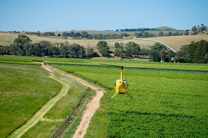 Southern Barossa: 10-Minute Helicopter Flight - Rowland Flat and Jacob’s Creek’s tank farm