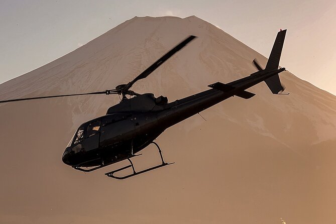 【TOKYO→FUJI】 Helicopter Oneway Transfer 35mins - Thirty-five minutes above Tokyo and Fuji