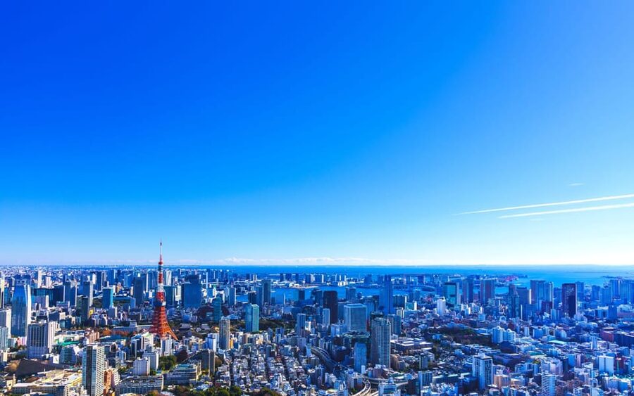 Tokyo: Guided Helicopter Ride - The 30-minute route: adding Shinjuku from above