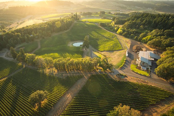 Tour DeVine by Heli - Helicopter Wine Tour - Key points to know before booking