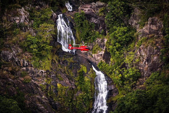 Ultimate Great Barrier Reef and Rainforest 45-minute Helicopter Tour - Why this flight gives Cairns a useful sense of scale