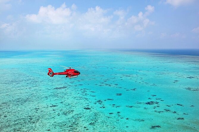 Ultimate Great Barrier Reef and Rainforest 45-minute Helicopter Tour - The Great Barrier Reef from a helicopter