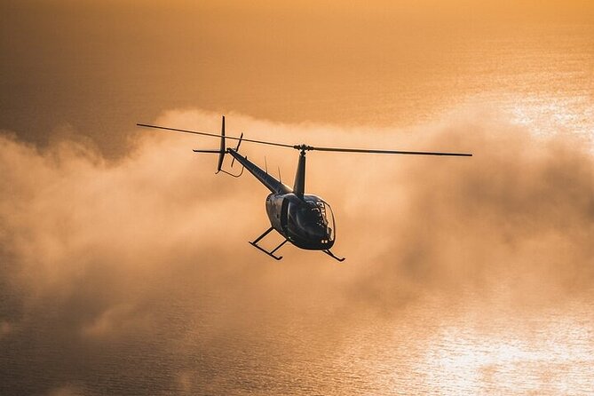 Ultimate Tour of Los Angeles by Helicopter - What the private format really changes