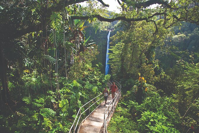 Volcano Adventure: Hilo Sightseeing w/ Optional Helicopter Tour - Banyan Drive and Hilo’s coastal character