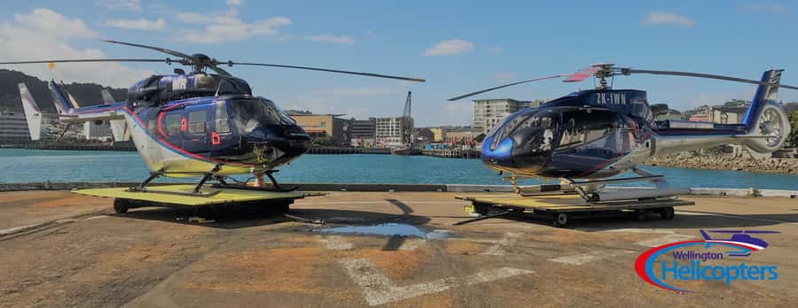 Wellington Helicopter Scenic Flight - What the nine-minute Wellington flight is really like