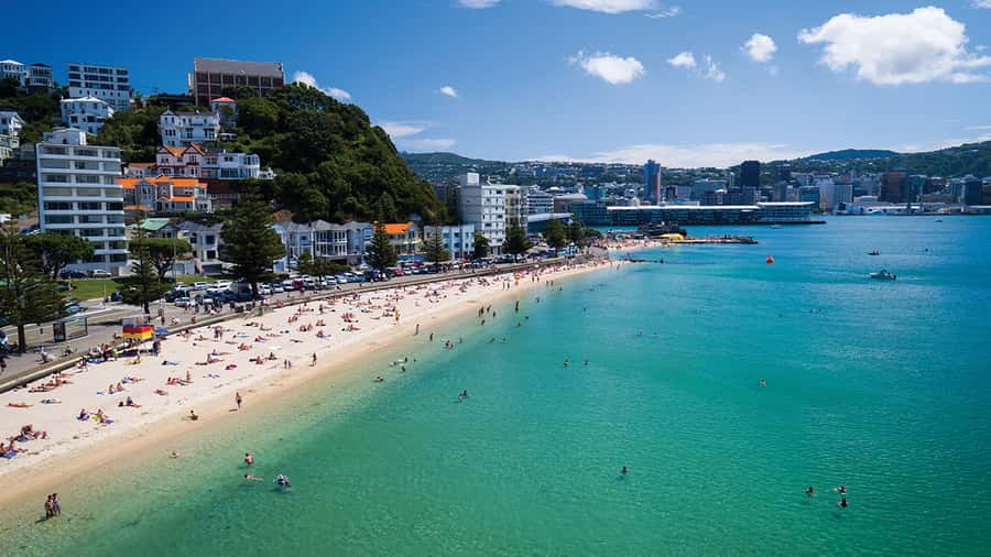 Wellington Helicopters Scenic Harbour Flight - Key points at a glance