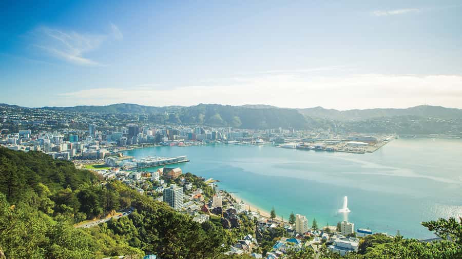 Wellington Helicopters Scenic Harbour Flight - Matiu Somes Island and the harbour’s outer edge