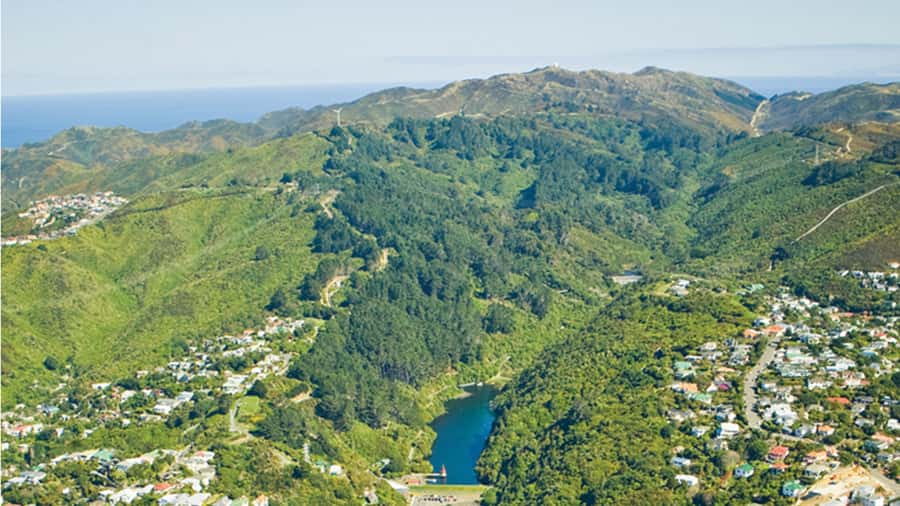 Wellington Helicopters Scenic Harbour Flight - Spotting Te Papa, the Beehive, and the Cake Tin