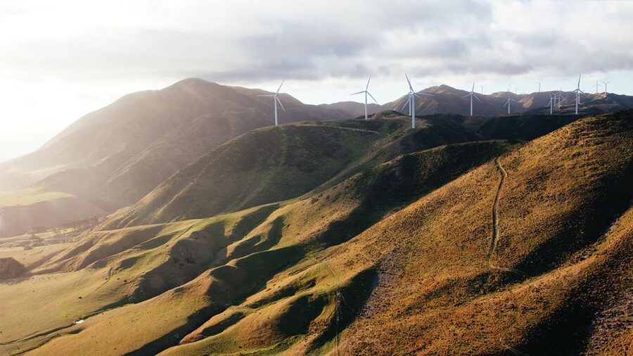 Wellington: Scenic South Coast Discovery Helicopter Flight - Key points at a glance