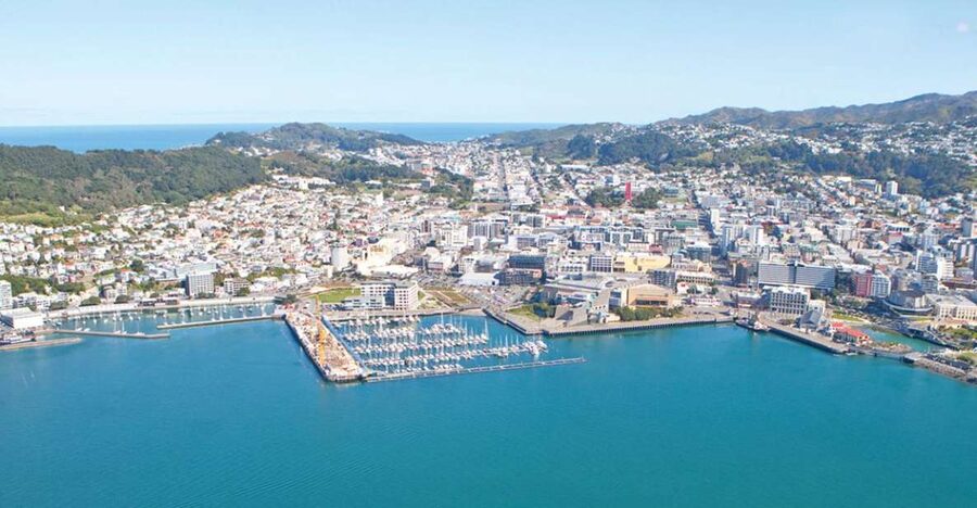 Wellington: Scenic South Coast Discovery Helicopter Flight - A quick flight with a big view