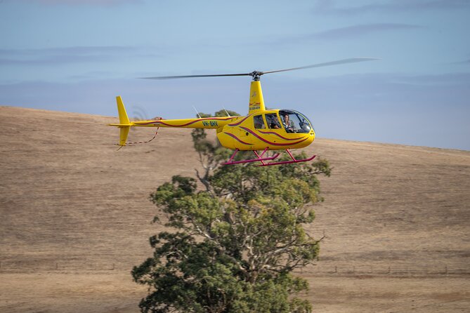 Western Ridge & Valley Floor: 20-Minute Helicopter Flight - The value of the preflight photo
