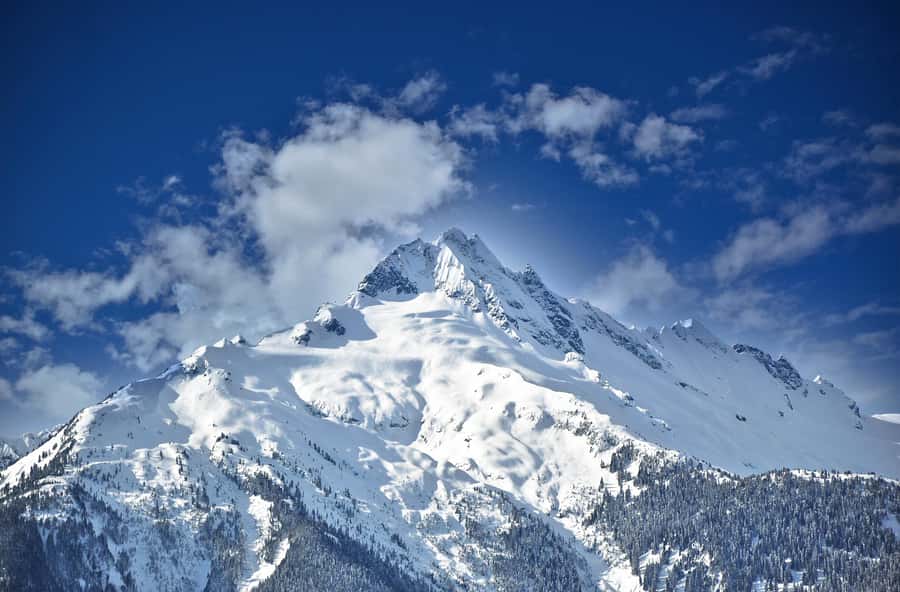 Whistler: Glacier Helicopter Tour over Wedge Mountain - Is $147 a good price for 14 minutes in the air?